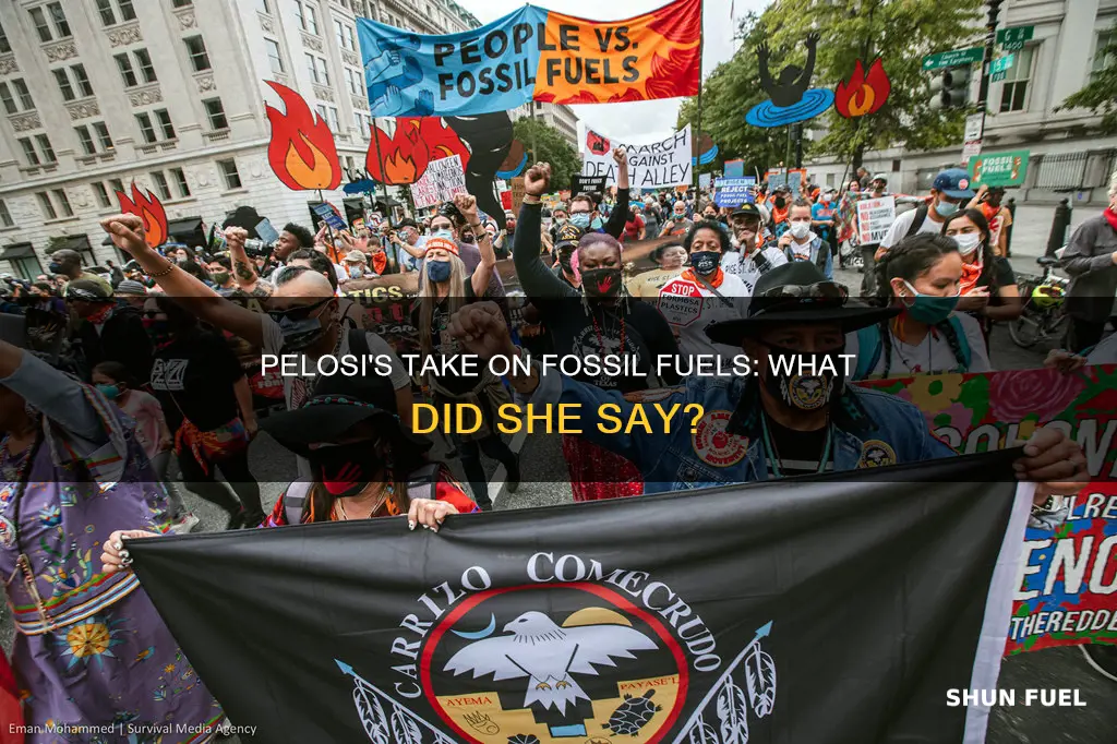 did nancy pelosi say anything about fossil fuels
