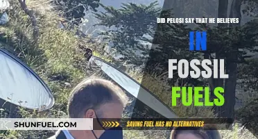 Pelosi's Stance on Fossil Fuels: A Misguided Belief