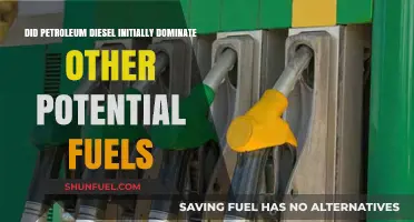 Why Petroleum Diesel Initially Dominated the Fuel Industry