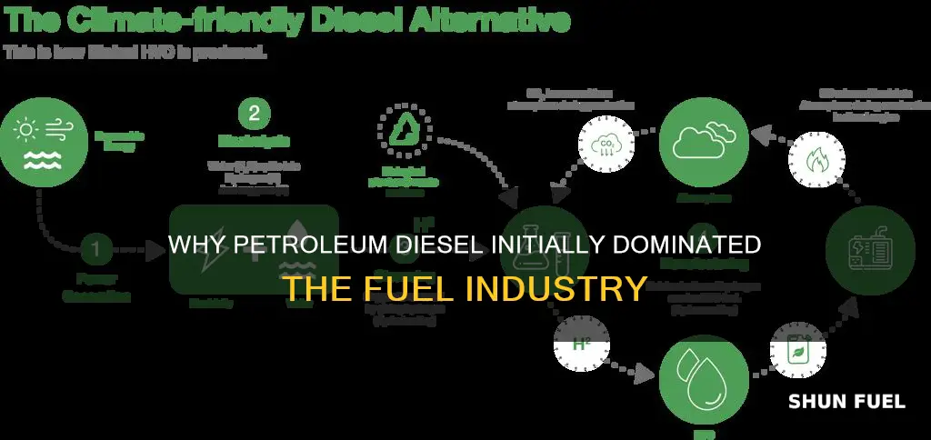 did petroleum diesel initially dominate other potential fuels