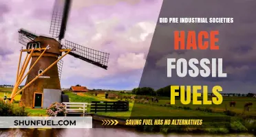 Pre-Industrial Societies: Did They Rely on Fossil Fuels?