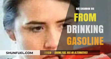 The Tragic Truth: Shannon's Fatal Encounter with Gasoline