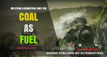 Beyond Coal: Exploring Diverse Fuels for Steam Locomotives