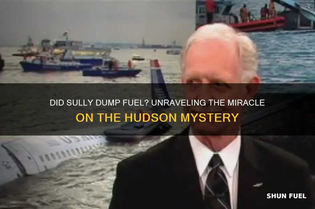 did sully dump fuel