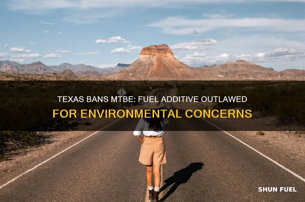 did texas outlaw mtbe for use as a fuel