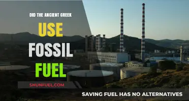 Ancient Greek Energy Sources: Fossil Fuel Usage