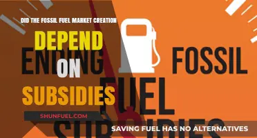 Fossil Fuel Markets: Subsidies and Creation