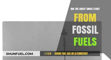 The Great Smog: Fossil Fuels' Deadly Legacy