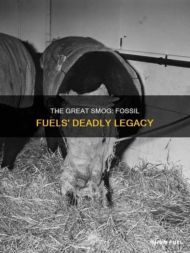 did the great smog start from fossil fuels