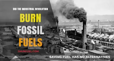 Industrial Revolution: Burning Fossil Fuels for Power
