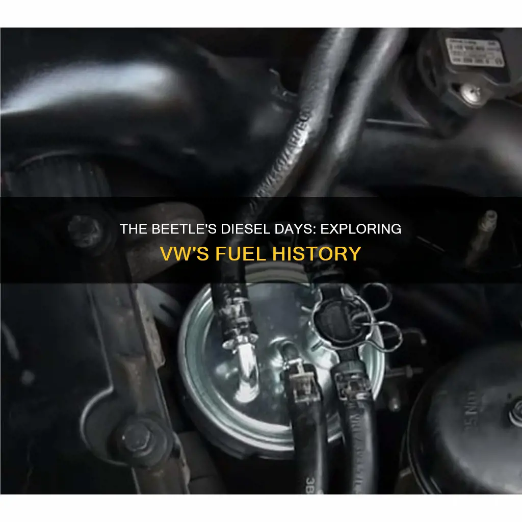 did the vw beetle ever run on diesel fuel