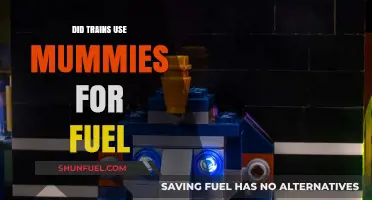 Unraveling the Myth: Trains, Mummies, and Fuel in History