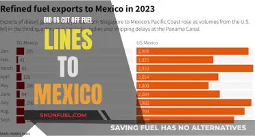 US Fuel Lines to Mexico: Cut-Off Crisis