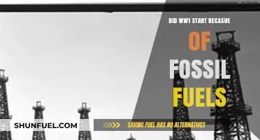 Fossil Fuels: The Real Reason Behind World War I?