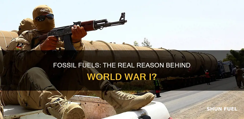 did ww1 start becasue of fossil fuels