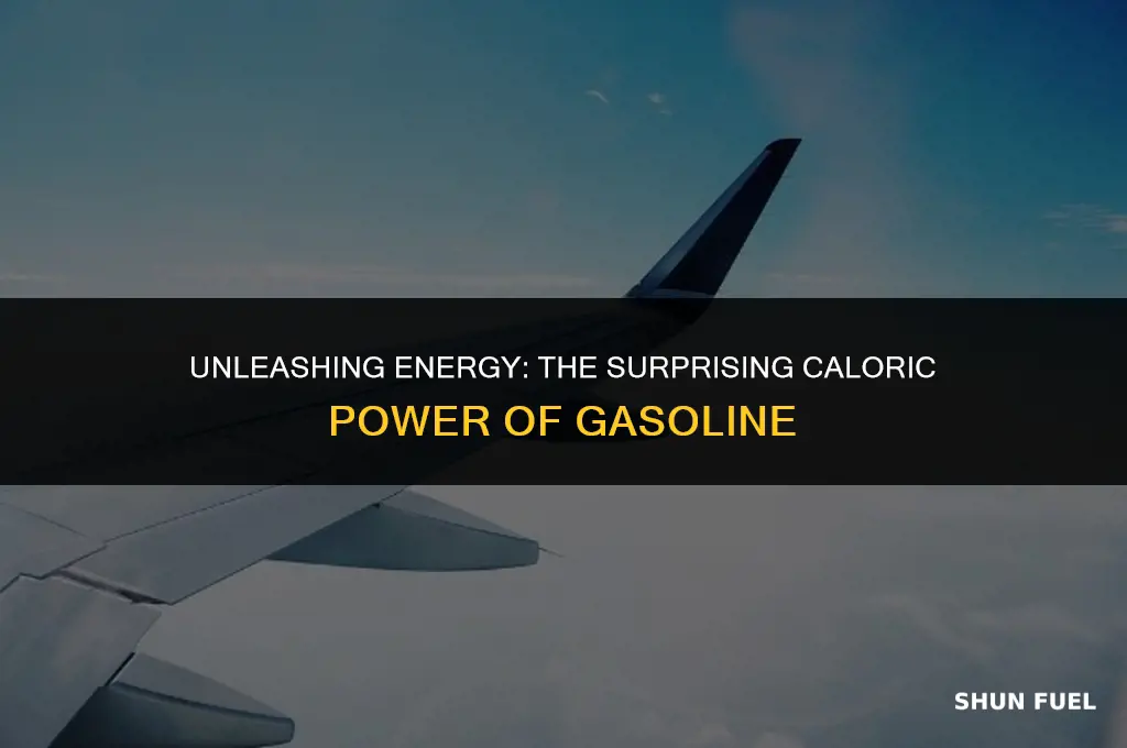 did you know that gasoline contains approximately 1 million calories