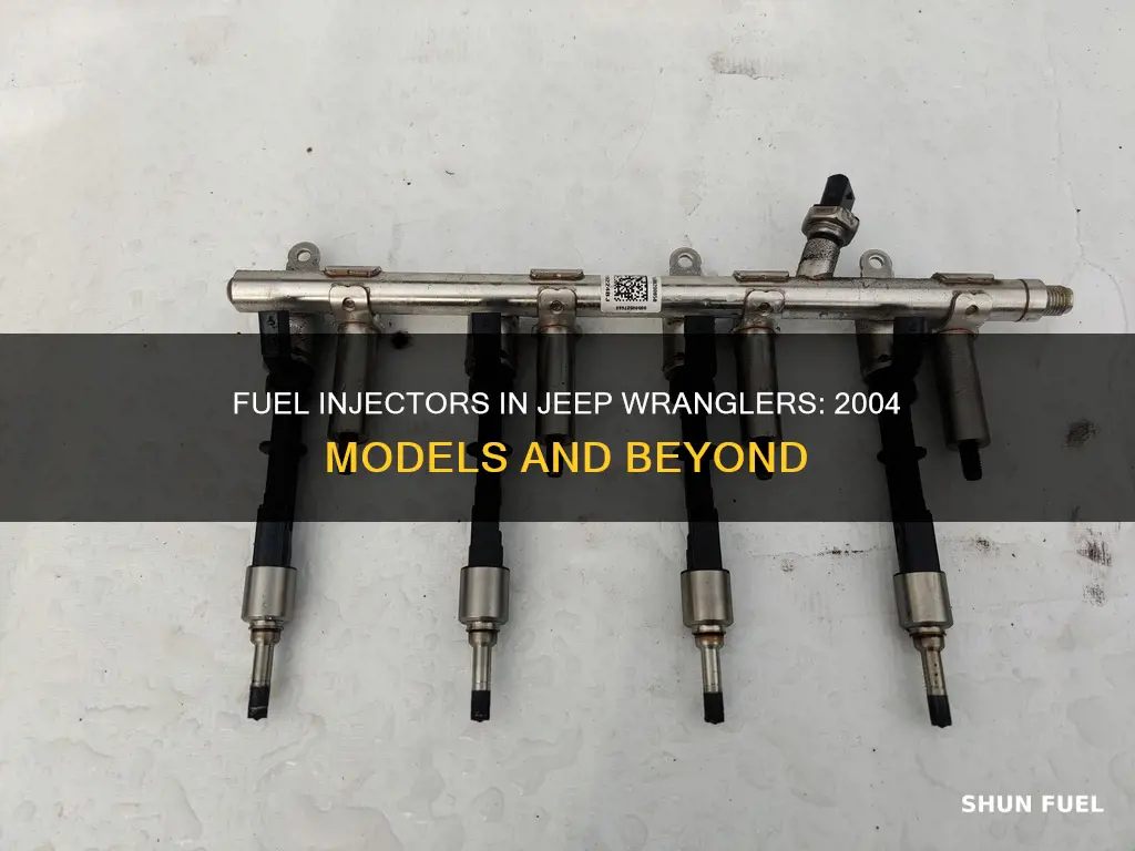 do 2004 jeep wrangler come with fuel injectors