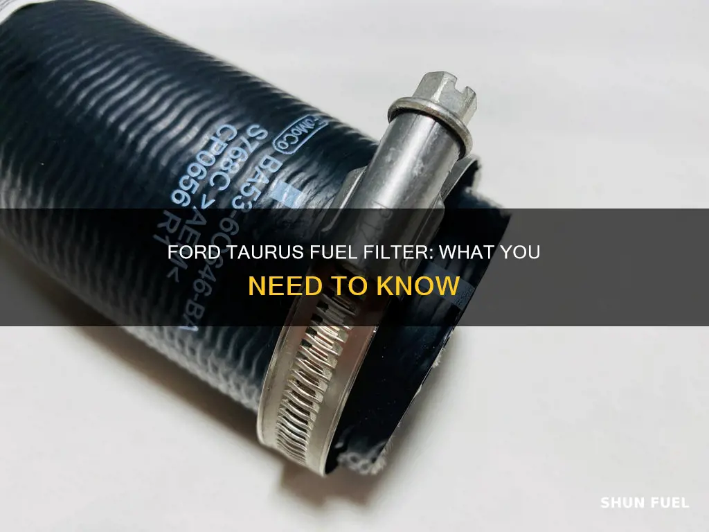 do 2009 ford taurus have a fuel filter