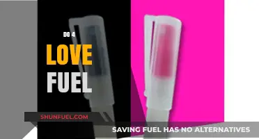 Exploring the Power of Love: Does it Truly Fuel Our Lives?