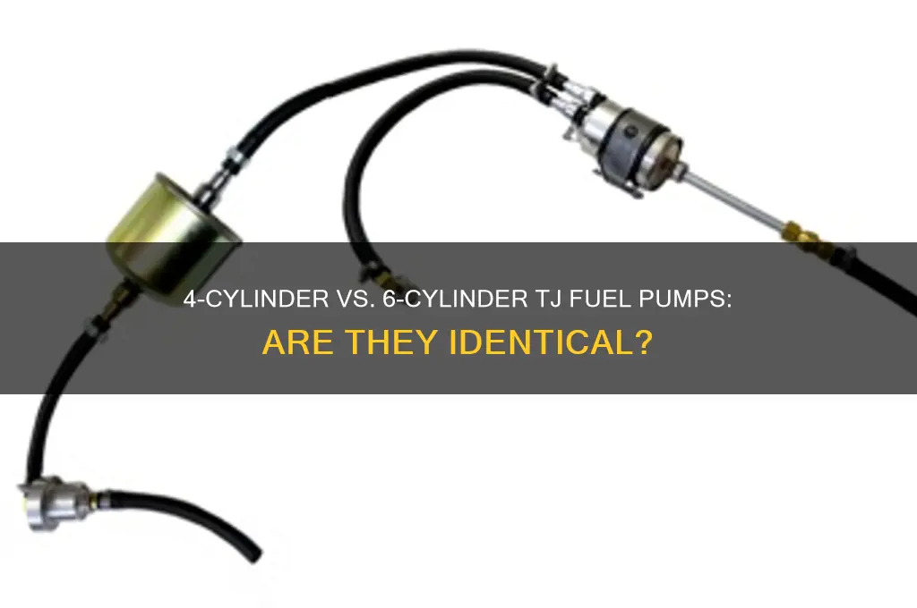 do 4cyl and 6cyl tjs have the same fuel pump