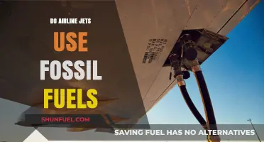 Airline Jets: Fossil Fuel Dependence and Alternatives