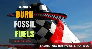 Airplanes and Fossil Fuels: Burning Questions