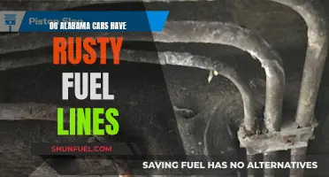 Unveiling Alabama's Rustic Fuel Lines: A Comprehensive Guide