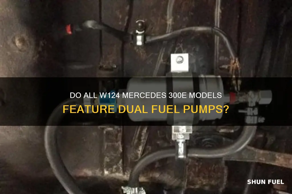 do all 90 w124 mercedes 300e have 2 fuel pumps