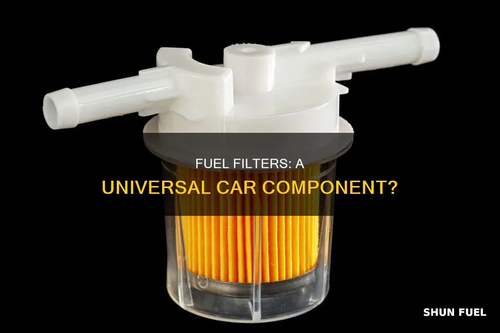 do all cars have a fuel filter