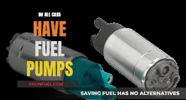 Fuel Pumps: A Universal Car Component?