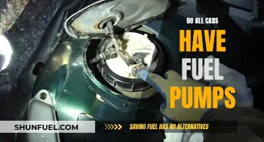 Fuel Pumps: Are They in Every Car?