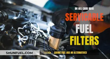 Fuel Filter Facts: Servicing Across Car Models