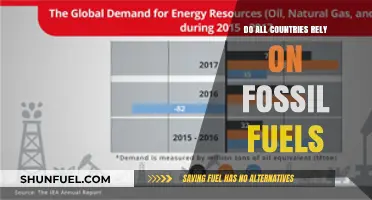 Fossil Fuels: Global Dependence and Alternatives