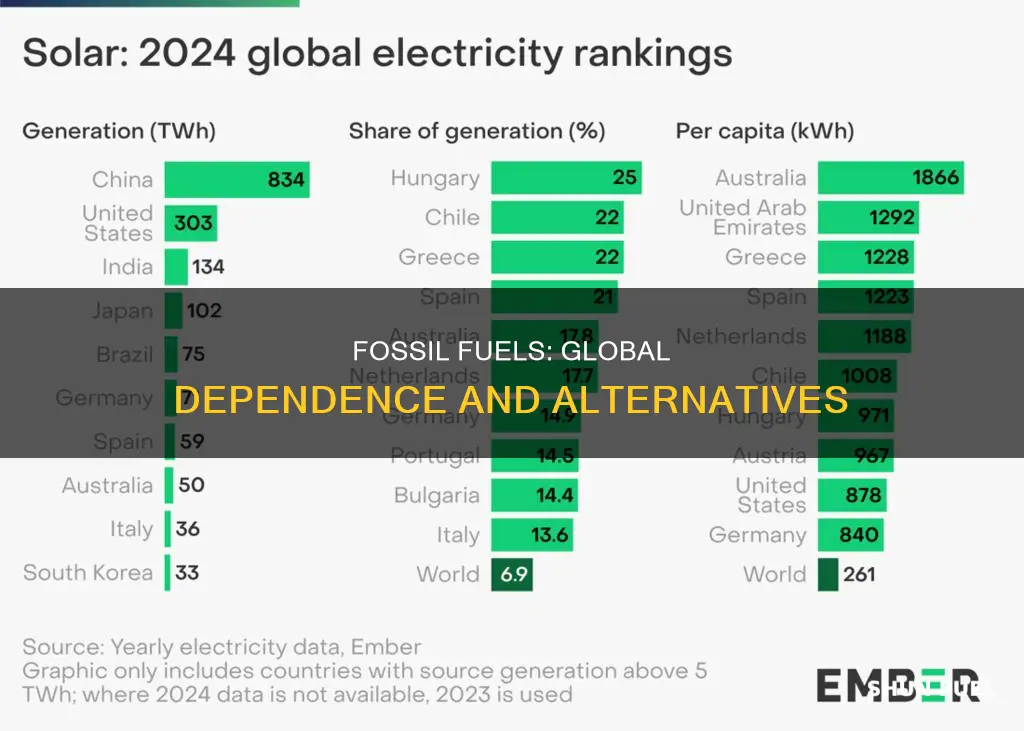 do all countries rely on fossil fuels