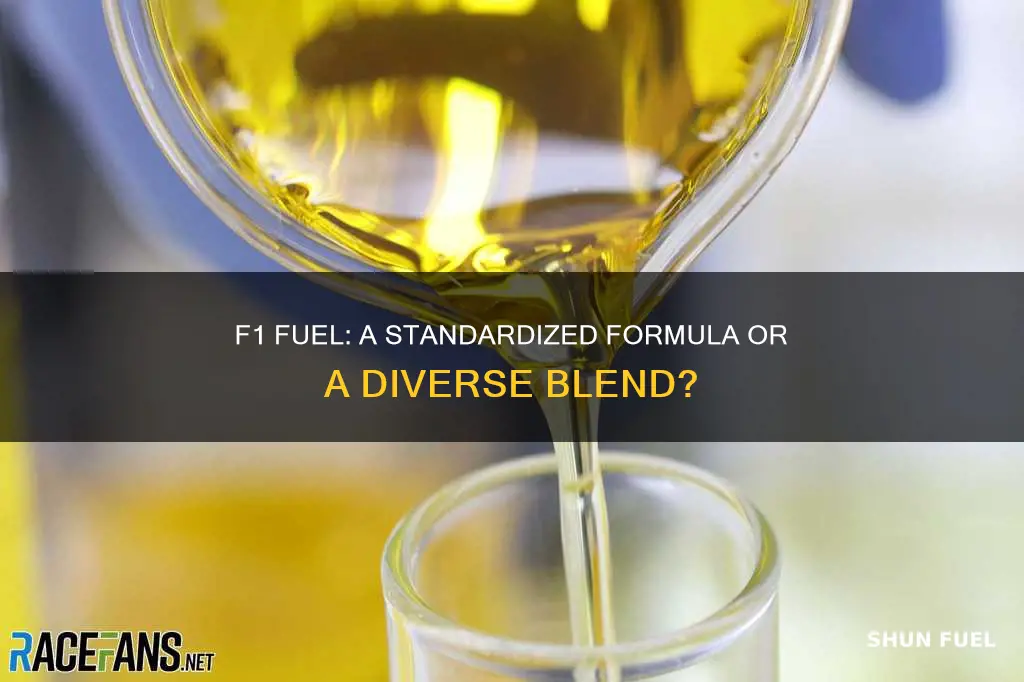 do all f1 cars use the same fuel