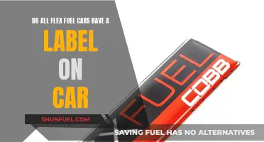 Flex Fuel Cars: Labels and Their Importance