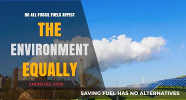 Fossil Fuels: Environmental Impact and Inequality