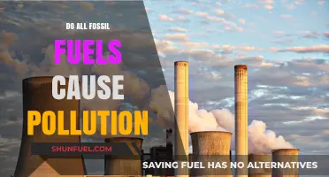 Fossil Fuels: Pollution and Its Alternatives