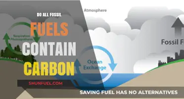 Fossil Fuels: Carbon-Rich Energy Sources