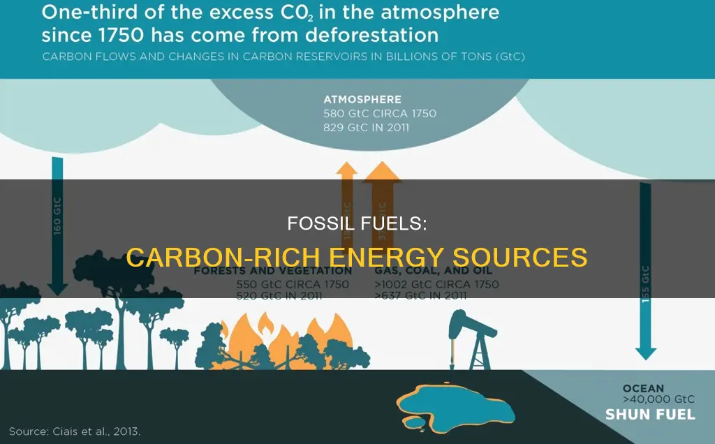 do all fossil fuels contain carbon