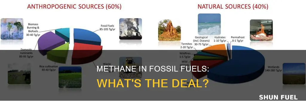 do all fossil fuels contain methane