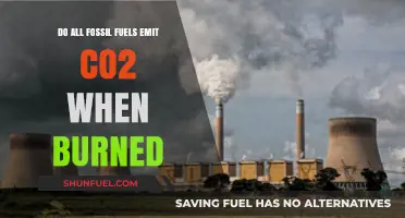Fossil Fuels: Burning Question of CO2 Emissions