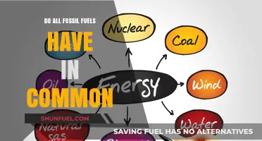 What Fossil Fuels Share: A Common Denominator