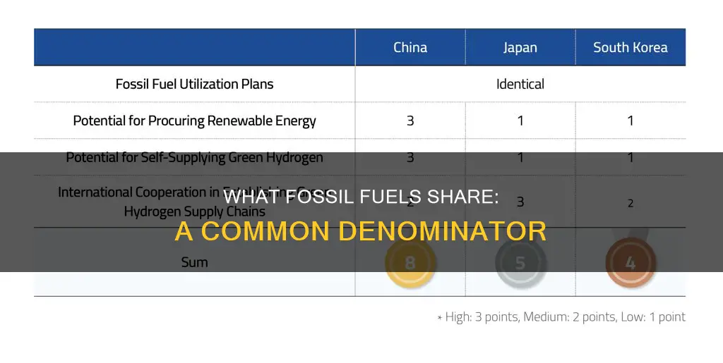 do all fossil fuels have in common