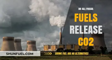 Fossil Fuels: CO2 Emissions and Energy Sources