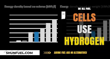 Do All Fuel Cells Use Hydrogen? Exploring Fuel Cell Types