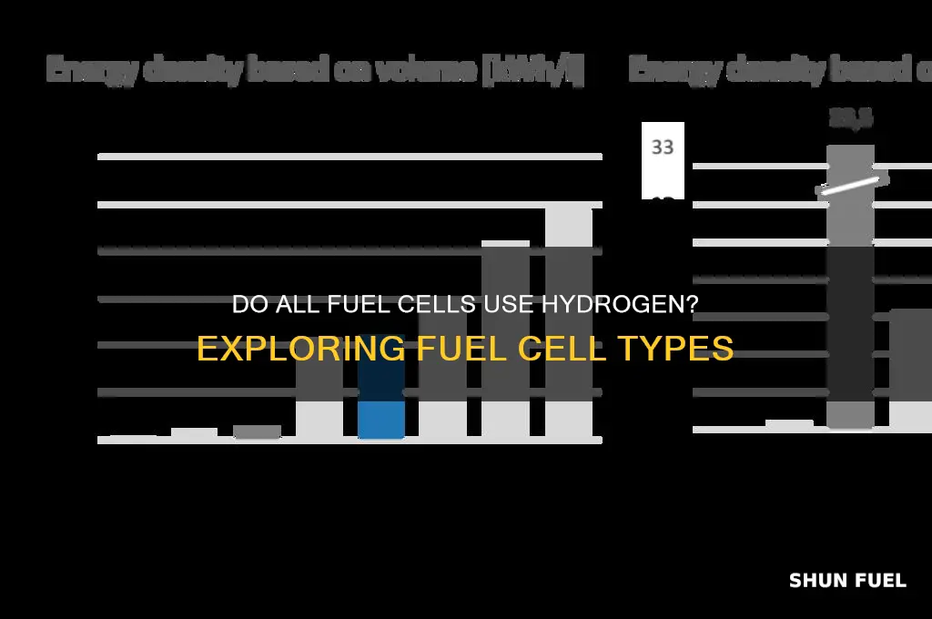 do all fuel cells use hydrogen