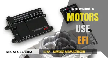 EFI in Fuel Injection: Universal Standard or Varied Technology?