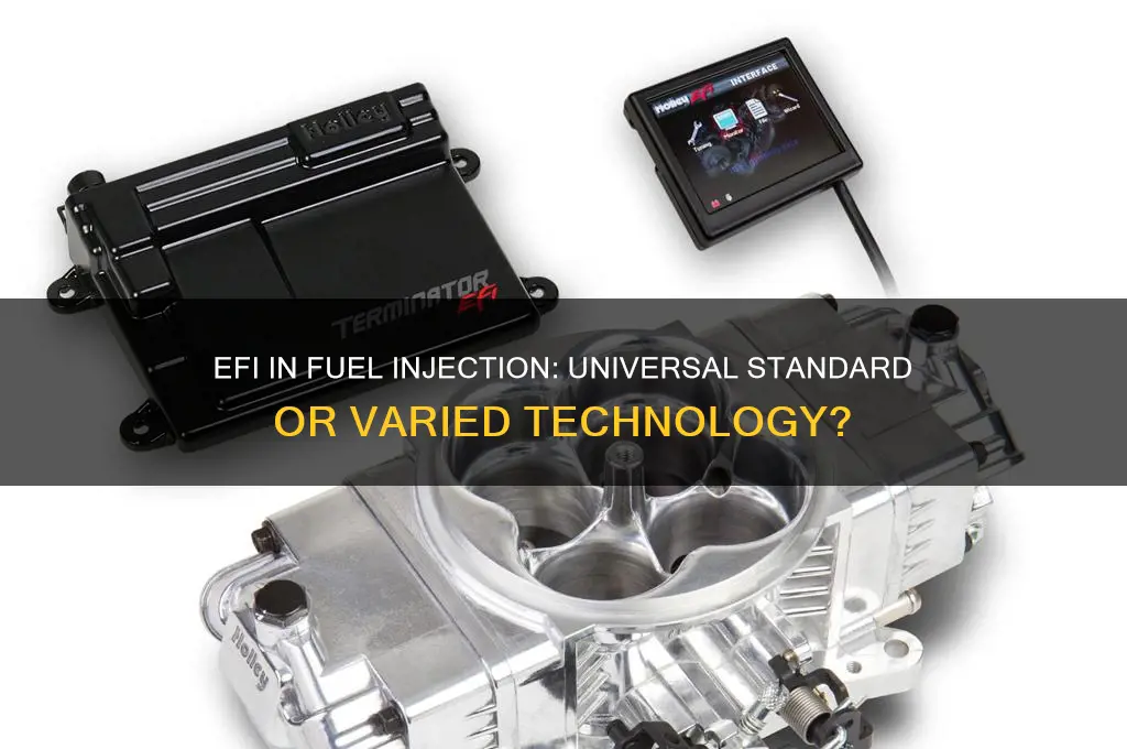 do all fuel injected motors use efi