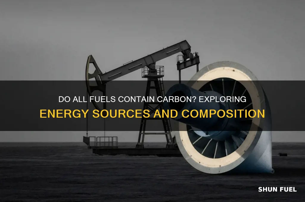 do all fuels contain carbon